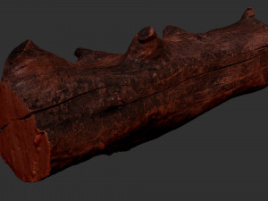 Withered tree trunk 3d scan in highpoly Modelo 3D