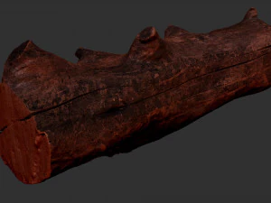 Withered tree trunk 3d scan in highpoly 3D Model