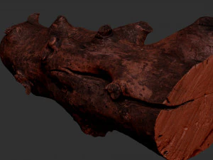 Withered tree trunk 3d scan in highpoly 3D Model