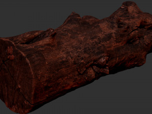 Withered tree trunk 3d scan in highpoly Modelo 3D