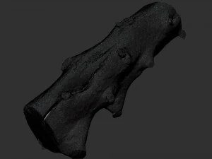 Withered tree trunk 3d scan in highpoly 3D Model