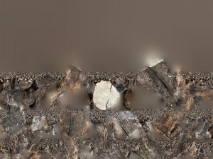 Withered tree trunk 3d scan in highpoly Modelo 3D