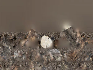 Withered tree trunk 3d scan in highpoly 3D Model