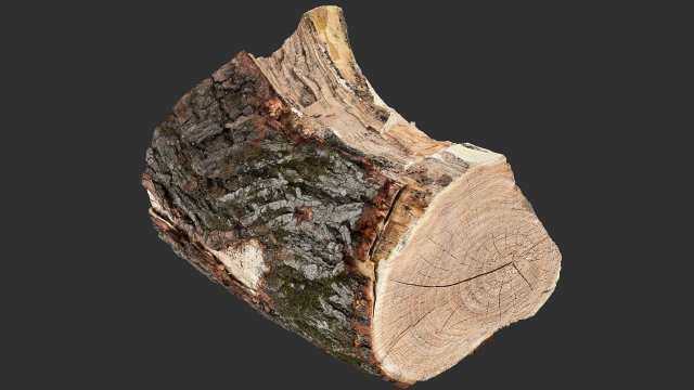 A peeling piece of wood 3d scan in highpoly 3D Модель .c4d .max .obj .3ds .fbx .stl .blend 