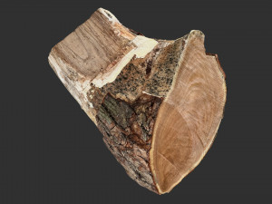 A peeling piece of wood 3d scan in highpoly 3D Модель
