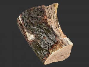 A peeling piece of wood 3d scan in highpoly 3D Модель