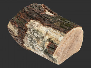A peeling piece of wood 3d scan in highpoly 3D Модель