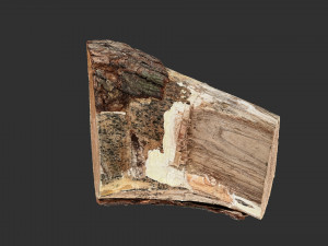 A peeling piece of wood 3d scan in highpoly 3D Модель