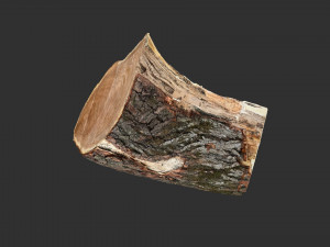 A peeling piece of wood 3d scan in highpoly 3D Модель
