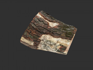 A peeling piece of wood 3d scan in highpoly 3D Модель