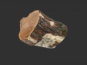 A peeling piece of wood 3d scan in highpoly 3D Модель