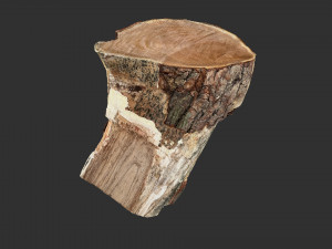 A peeling piece of wood 3d scan in highpoly 3D Модель