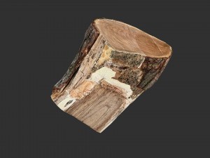 A peeling piece of wood 3d scan in highpoly 3D Модель