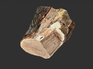 A peeling piece of wood 3d scan in highpoly 3D Модель