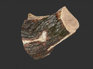 A peeling piece of wood 3d scan in highpoly 3D Модель