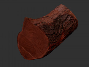 A peeling piece of wood 3d scan in highpoly 3D Модель