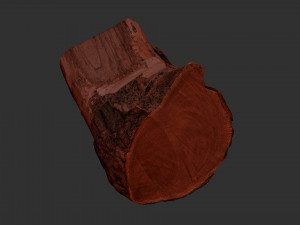 A peeling piece of wood 3d scan in highpoly 3D Модель
