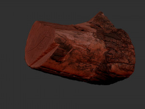 A peeling piece of wood 3d scan in highpoly 3D Модель