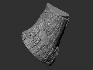 A peeling piece of wood 3d scan in highpoly 3D Модель