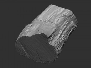 A peeling piece of wood 3d scan in highpoly 3D Модель