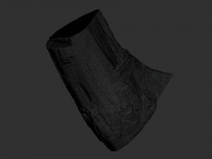 A peeling piece of wood 3d scan in highpoly 3D Модель