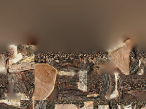 A peeling piece of wood 3d scan in highpoly 3D Модель
