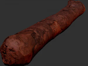 A section of tree 3d scan in highpoly 3D Model