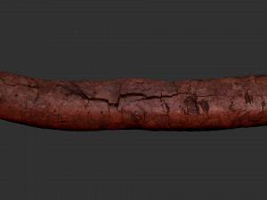A section of tree 3d scan in highpoly 3D 模型