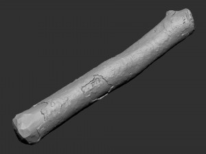 A section of tree 3d scan in highpoly 3D 模型