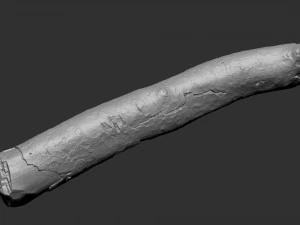 A section of tree 3d scan in highpoly 3D Model