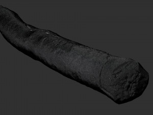A section of tree 3d scan in highpoly 3D 模型
