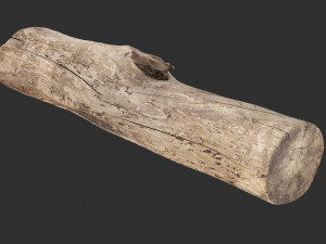 A length of wood 3d scan in highpoly 3D-Modell