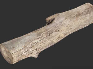 A length of wood 3d scan in highpoly 3D 모델