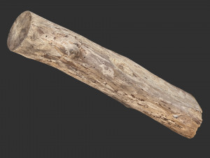 A length of wood 3d scan in highpoly 3D 모델