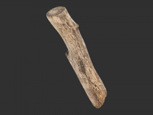 A length of wood 3d scan in highpoly 3D 모델