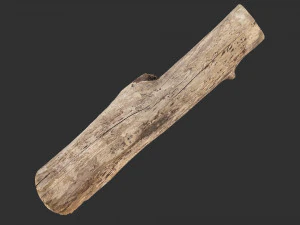 A length of wood 3d scan in highpoly 3D Model