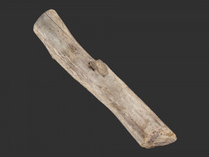 A length of wood 3d scan in highpoly 3D 모델