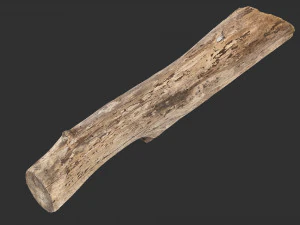 A length of wood 3d scan in highpoly 3D Model