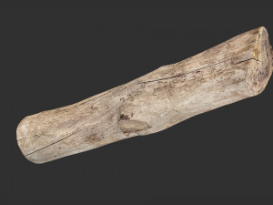A length of wood 3d scan in highpoly 3D 모델
