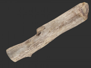 A length of wood 3d scan in highpoly 3D 모델
