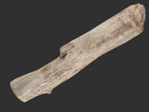 A length of wood 3d scan in highpoly 3D Model