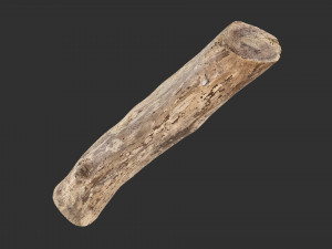A length of wood 3d scan in highpoly 3D 모델