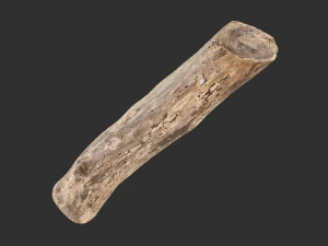 A length of wood 3d scan in highpoly 3D Model