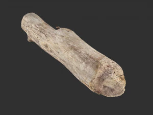 A length of wood 3d scan in highpoly 3D Model