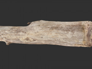 A length of wood 3d scan in highpoly 3D 모델
