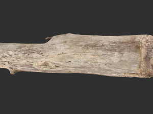 A length of wood 3d scan in highpoly 3D Model