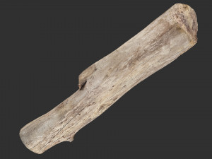 A length of wood 3d scan in highpoly 3D 모델