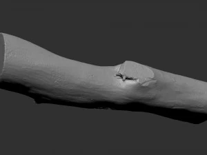 A length of wood 3d scan in highpoly 3D Model