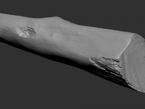 A length of wood 3d scan in highpoly 3D 모델