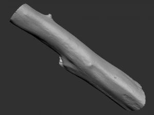 A length of wood 3d scan in highpoly 3D Model